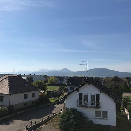 Appartement Chaleureux Et Lumineux Avec Vue ! Au Centre Alsace Sélestat Kültér fotó