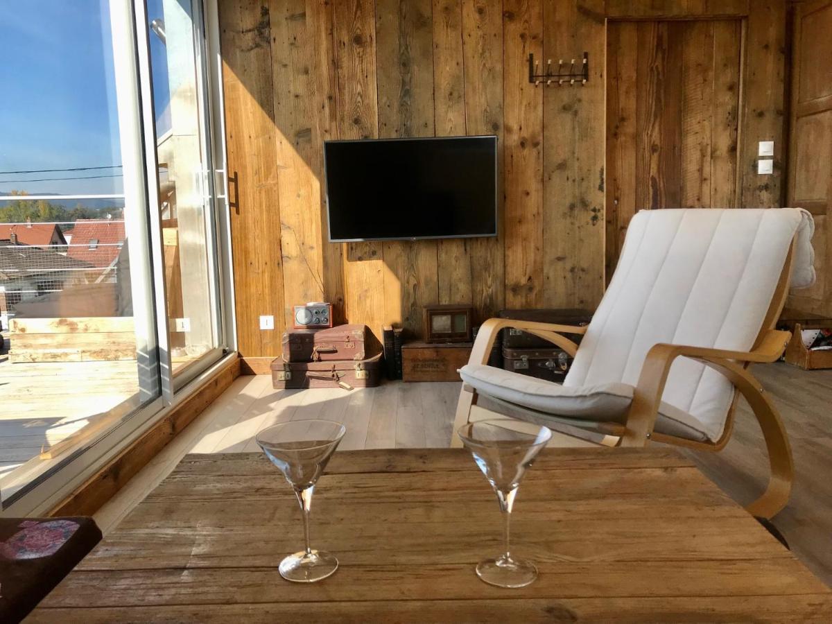 Appartement Chaleureux Et Lumineux Avec Vue ! Au Centre Alsace Sélestat Kültér fotó