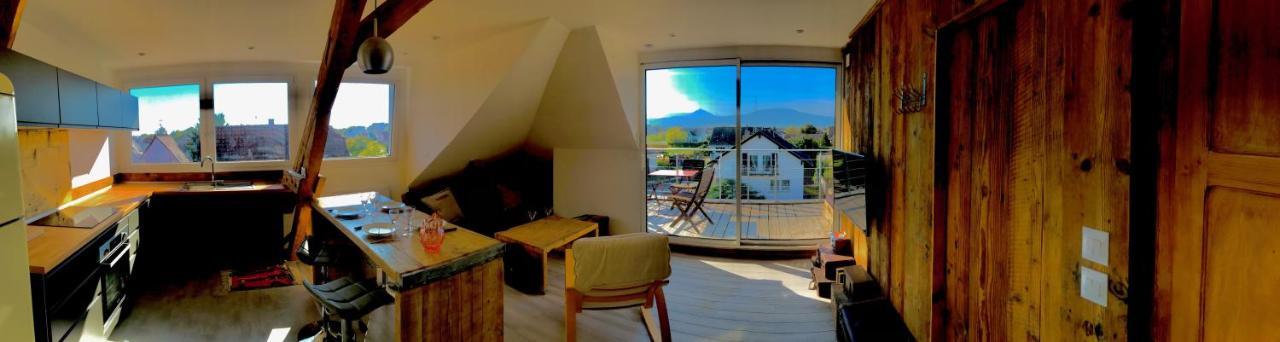 Appartement Chaleureux Et Lumineux Avec Vue ! Au Centre Alsace Sélestat Kültér fotó